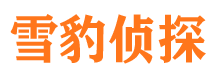 泾源找人公司